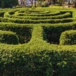 Local SEO: come aumentare la visibilità della tua impresa nella ricerca locale